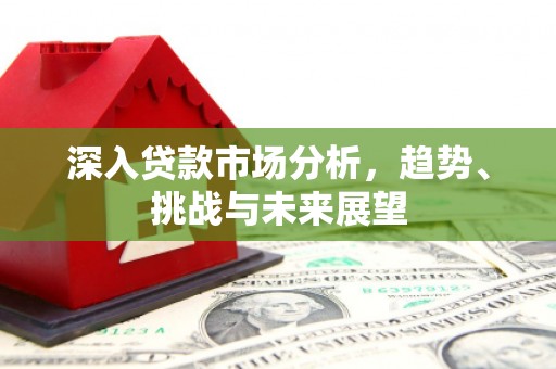 淄川深入贷款市场分析，趋势、挑战与未来展望