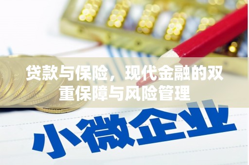 淄川贷款与保险，现代金融的双重保障与风险管理