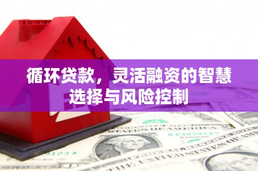 淄川循环贷款，灵活融资的智慧选择与风险控制