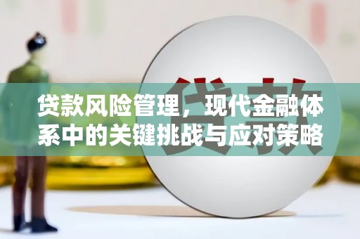 淄川贷款风险管理，现代金融体系中的关键挑战与应对策略