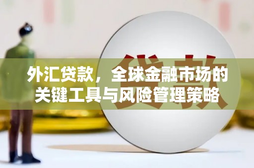 淄川外汇贷款，全球金融市场的关键工具与风险管理策略