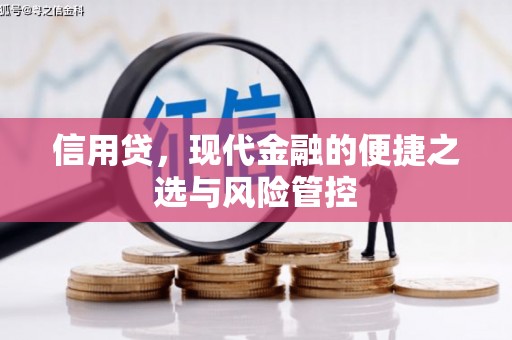 淄川信用贷，现代金融的便捷之选与风险管控