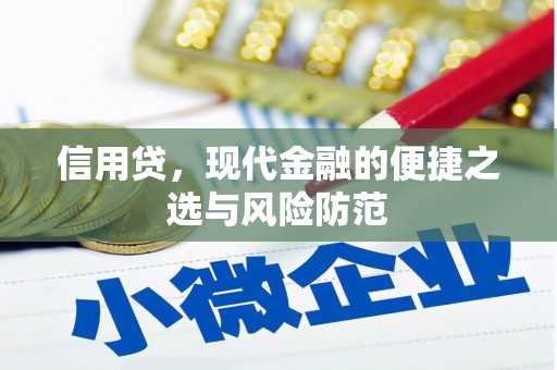 淄川信用贷，现代金融的便捷之选与风险防范