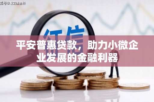 淄川平安普惠贷款，助力小微企业发展的金融利器