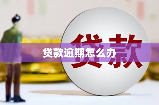 淄川贷款逾期怎么办