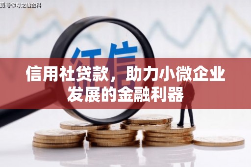 淄川信用社贷款，助力小微企业发展的金融利器