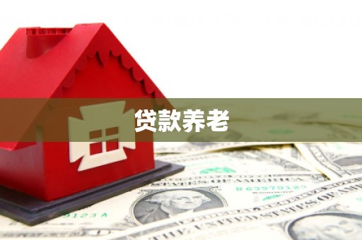 淄川贷款养老