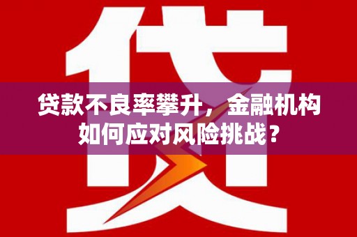 淄川贷款不良率攀升，金融机构如何应对风险挑战？