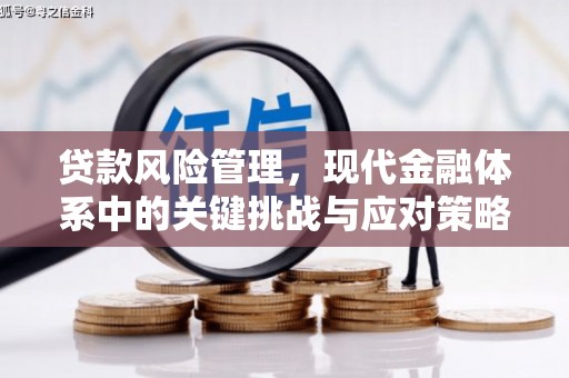 淄川贷款风险管理，现代金融体系中的关键挑战与应对策略