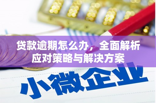 淄川贷款逾期怎么办，全面解析应对策略与解决方案